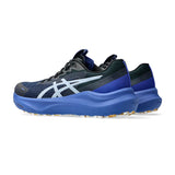 ASICS GT 2000 14 LITE-SHOW™ (col.400)
