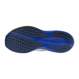 MIZUNO Wave RIDER 29 (col.53)